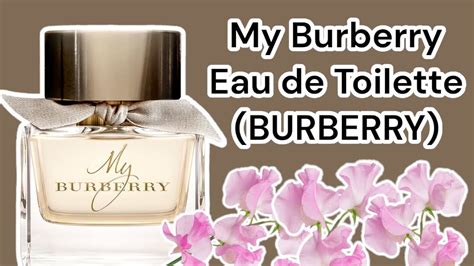 my burberry eau de toilette resenha